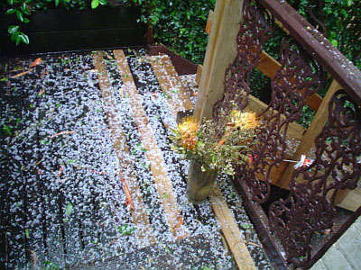 2004-11-13_gore-hail04.jpg